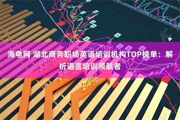 海龟网 湖北商务职场英语培训机构TOP榜单：解析语言培训领航者