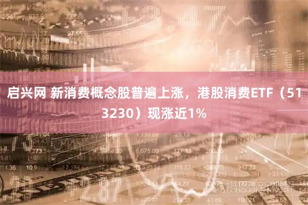启兴网 新消费概念股普遍上涨，港股消费ETF（513230）现涨近1%