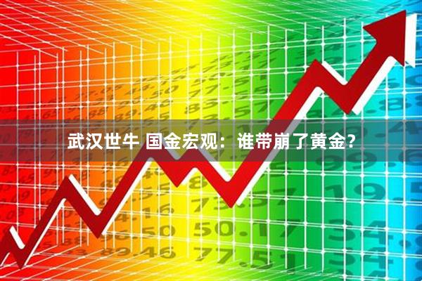 武汉世牛 国金宏观：谁带崩了黄金？
