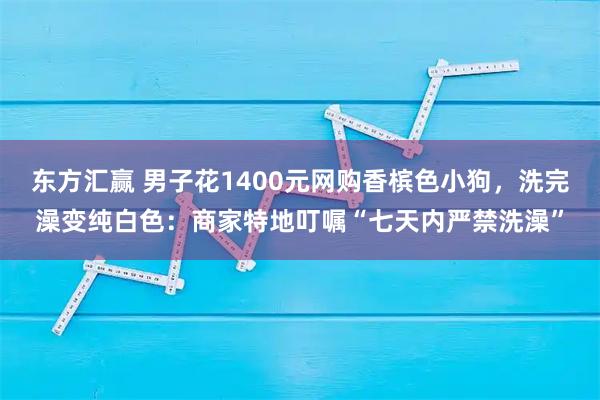 东方汇赢 男子花1400元网购香槟色小狗,洗完澡变纯白色:商家特地叮嘱“七天内严禁洗澡”